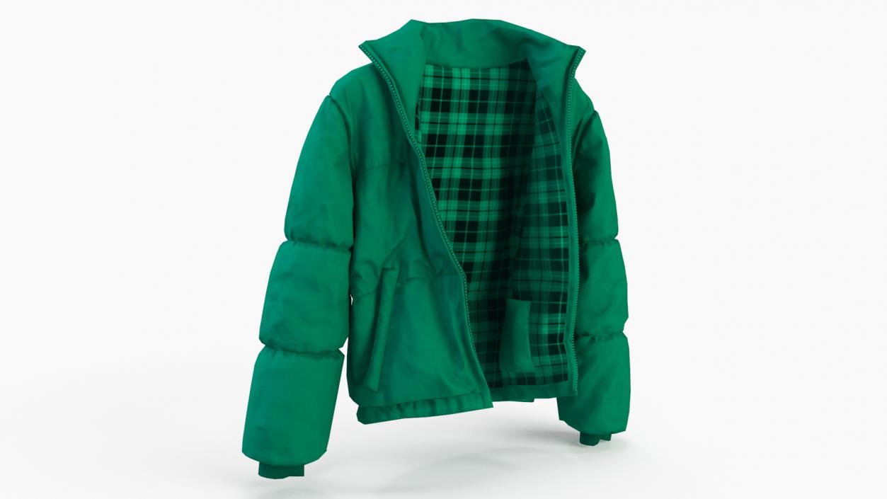 3D Oversize Puffer Mens Jacket Green model