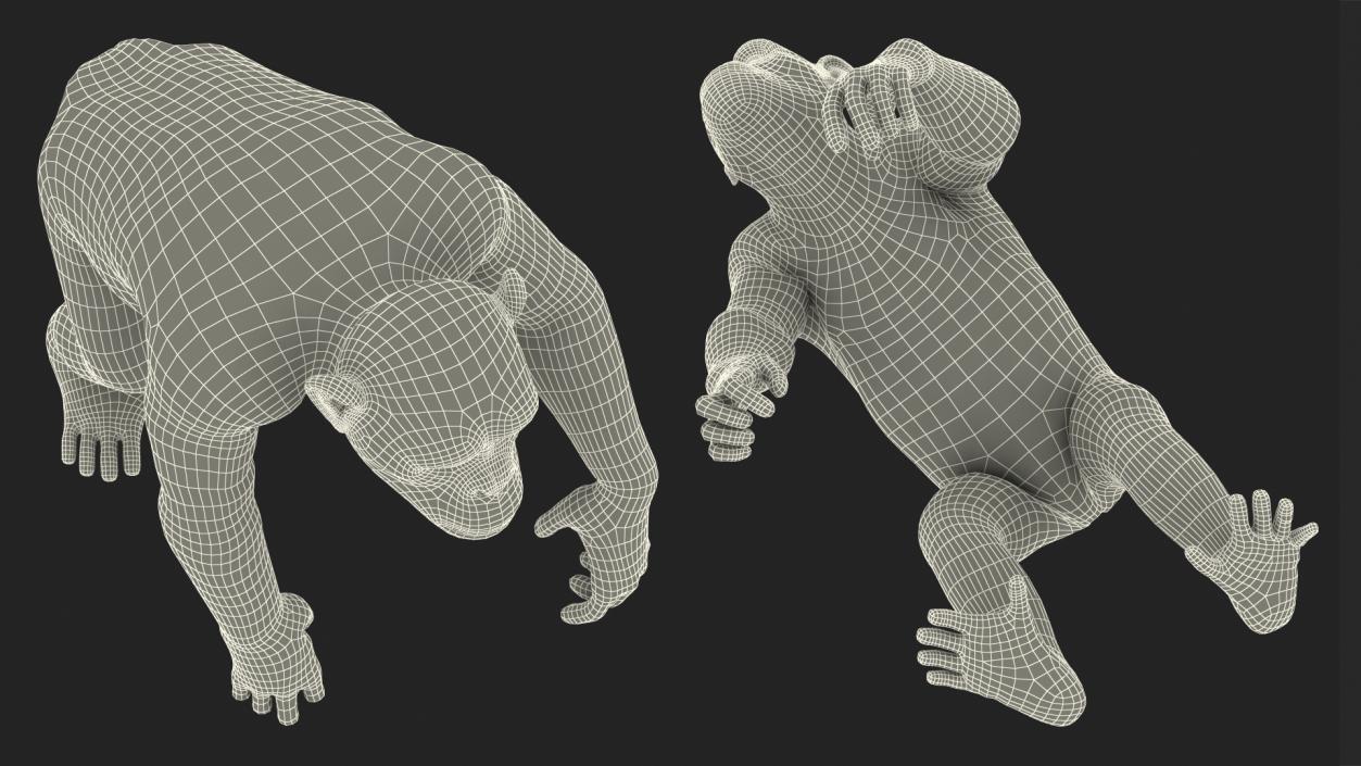 3D Walking Dark Chimpanzee model