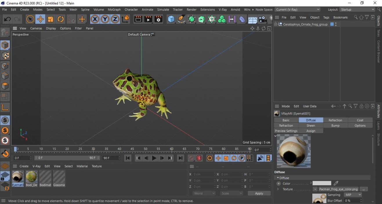 3D Ceratophrys Ornata Frog model