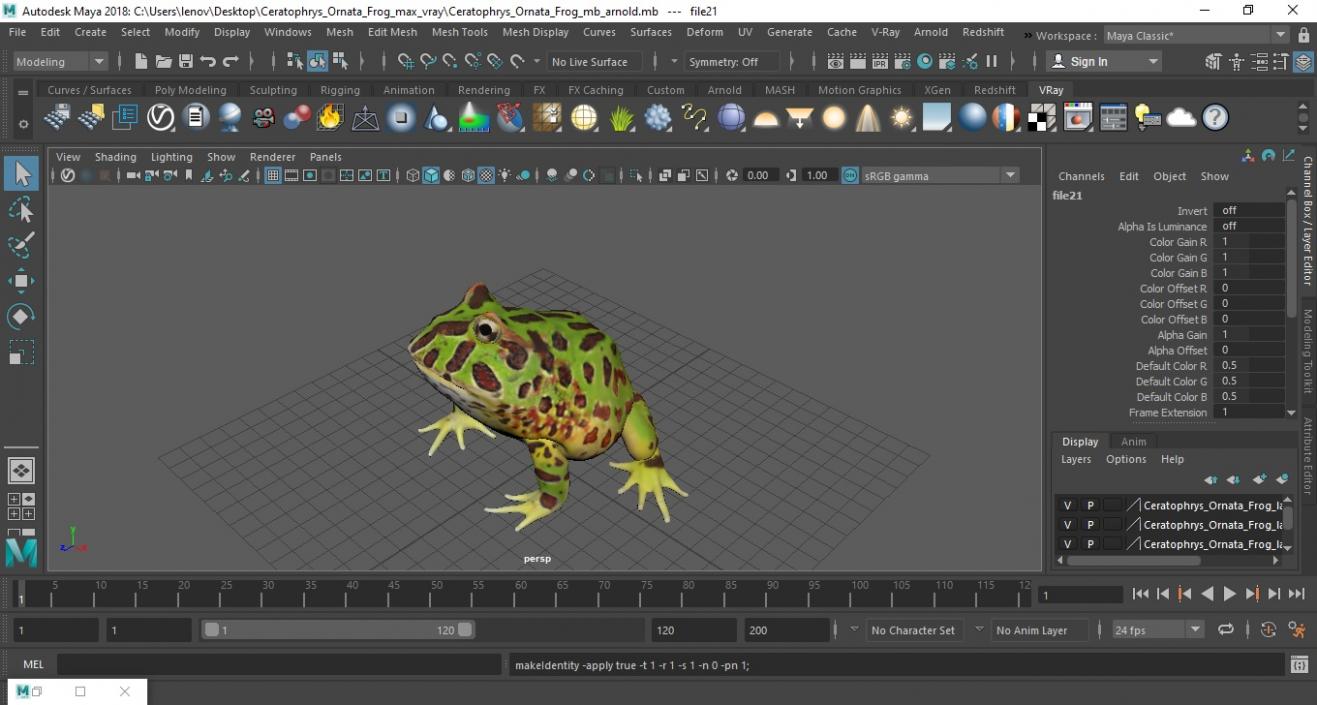 3D Ceratophrys Ornata Frog model