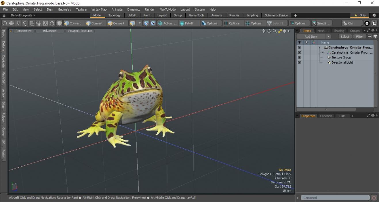 3D Ceratophrys Ornata Frog model