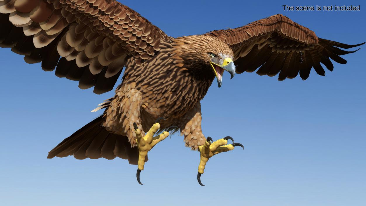 Imperial Eagle Attacking Pose 3D model