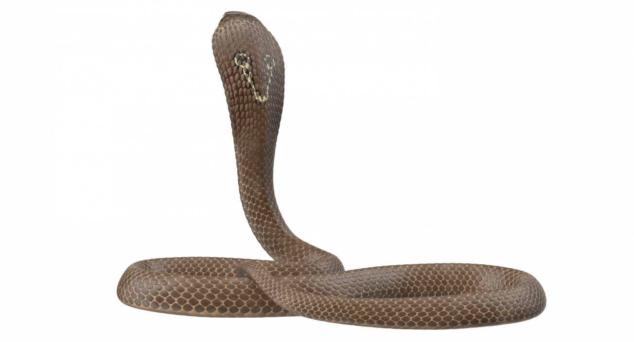 Cobra Beige Skin Alert Pose 3D