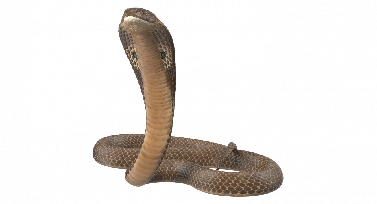 Cobra Beige Skin Alert Pose 3D