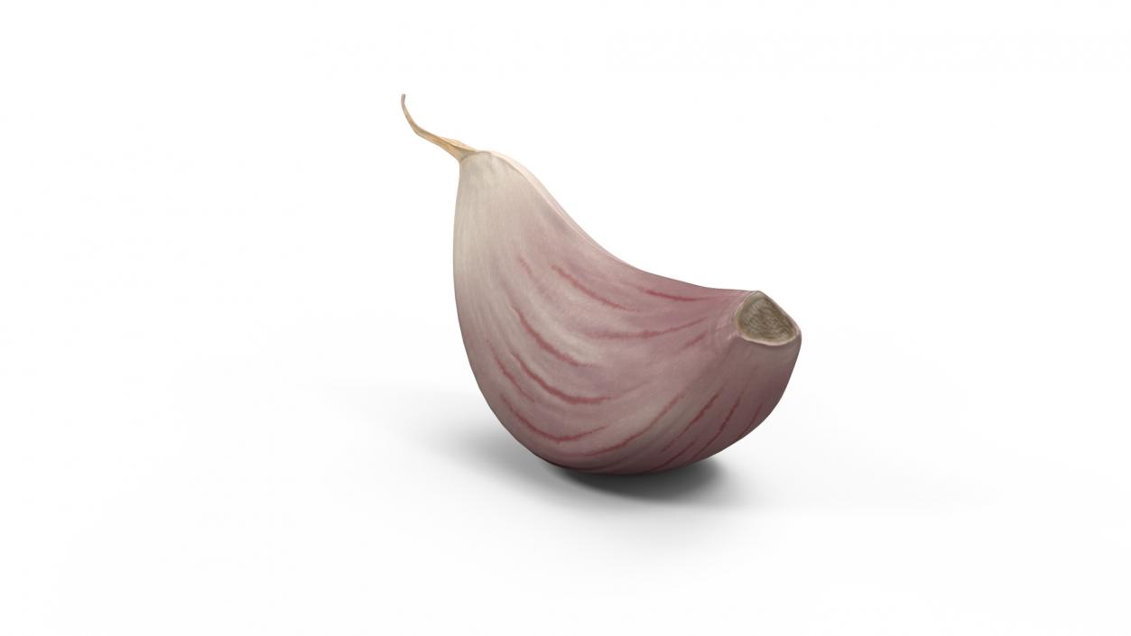 3D Clove Garlic White model