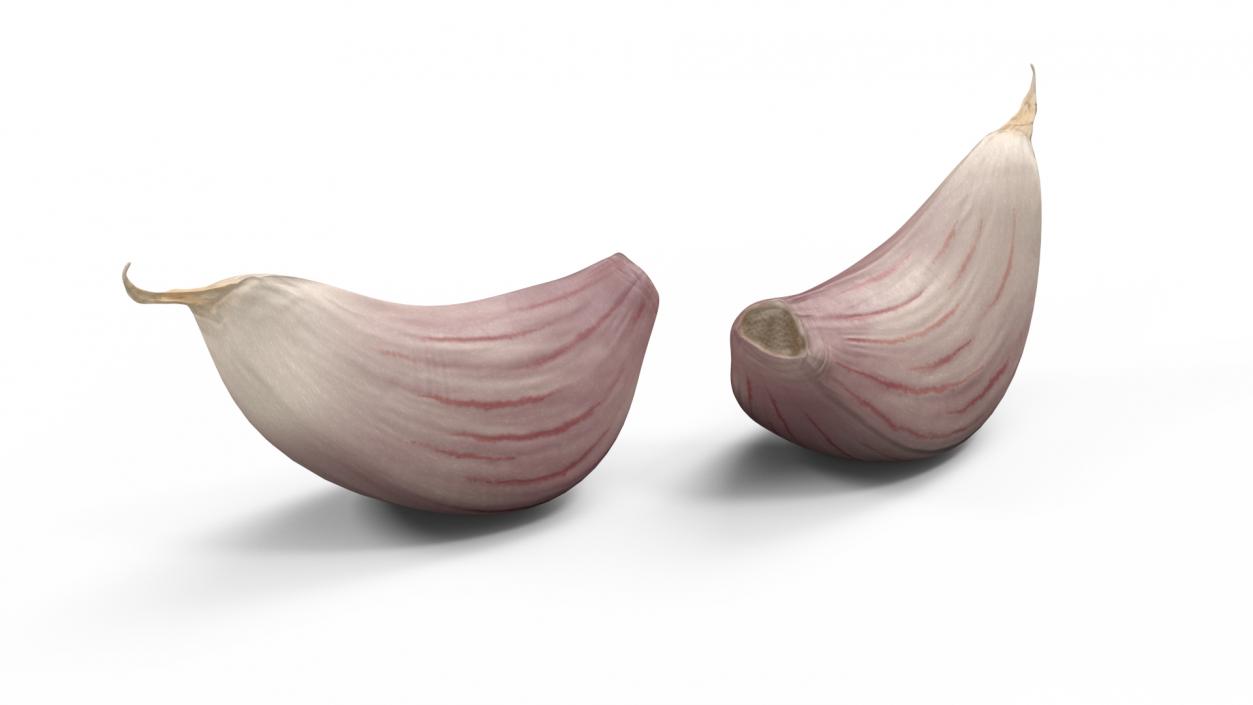 3D Clove Garlic White model