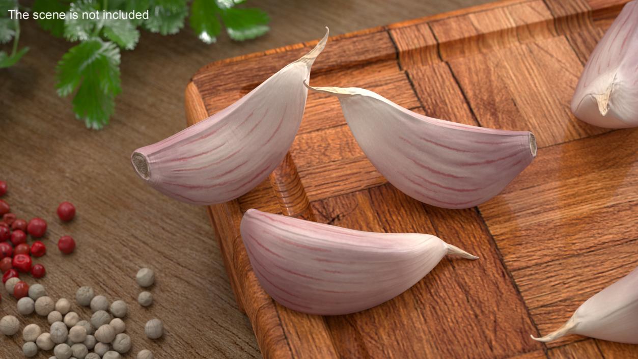 3D Clove Garlic White model