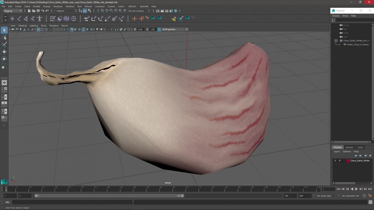 3D Clove Garlic White model