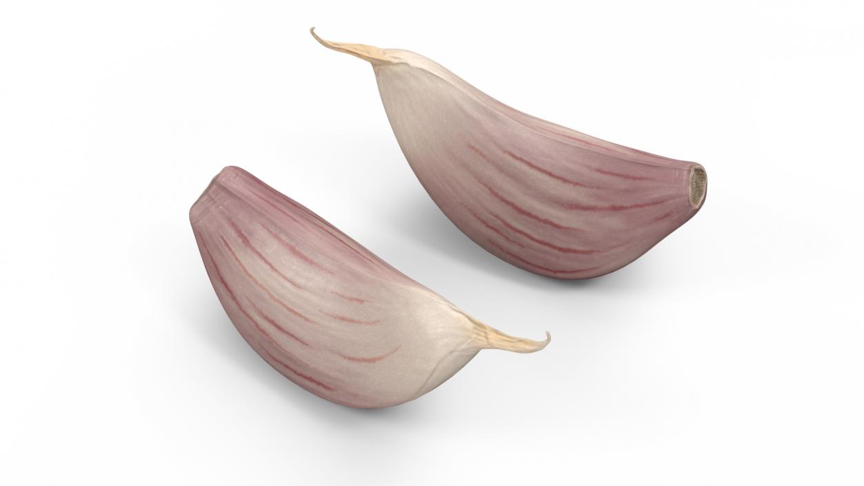 3D Clove Garlic White model