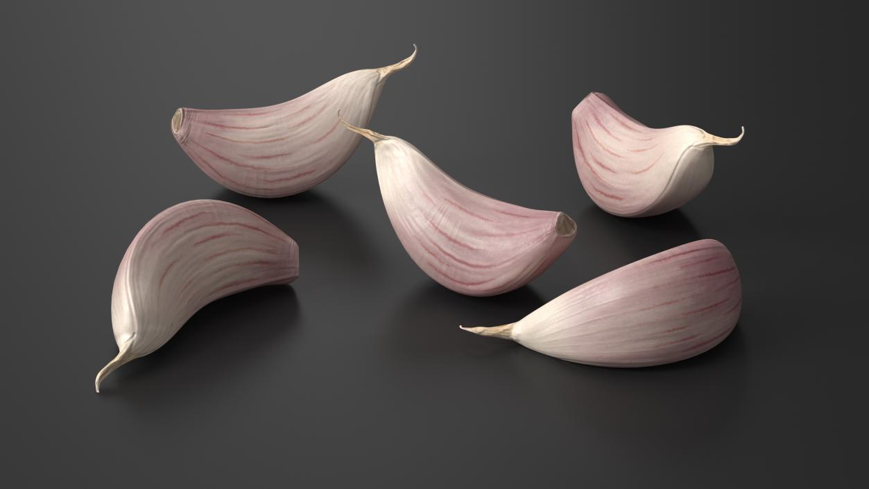 3D Clove Garlic White model