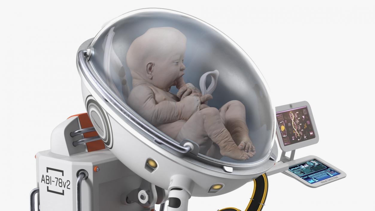 3D Human Artificial Womb with Child White model