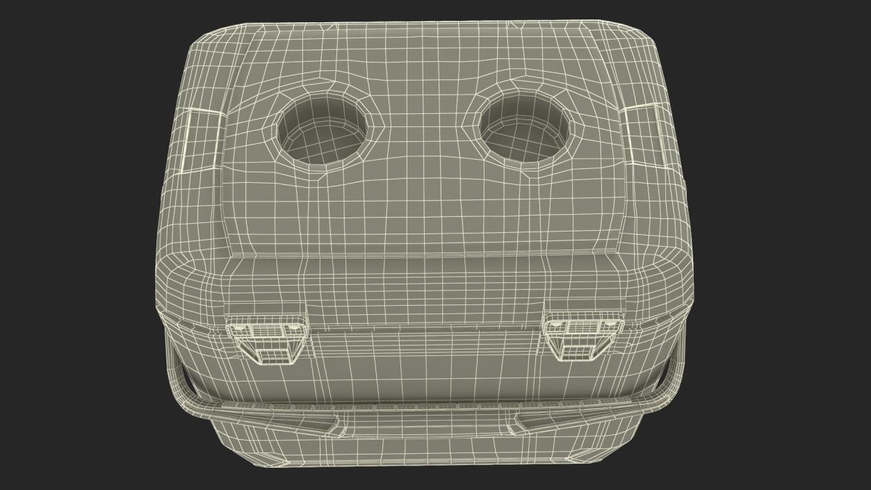 Portable Camping Coolbox 3D model