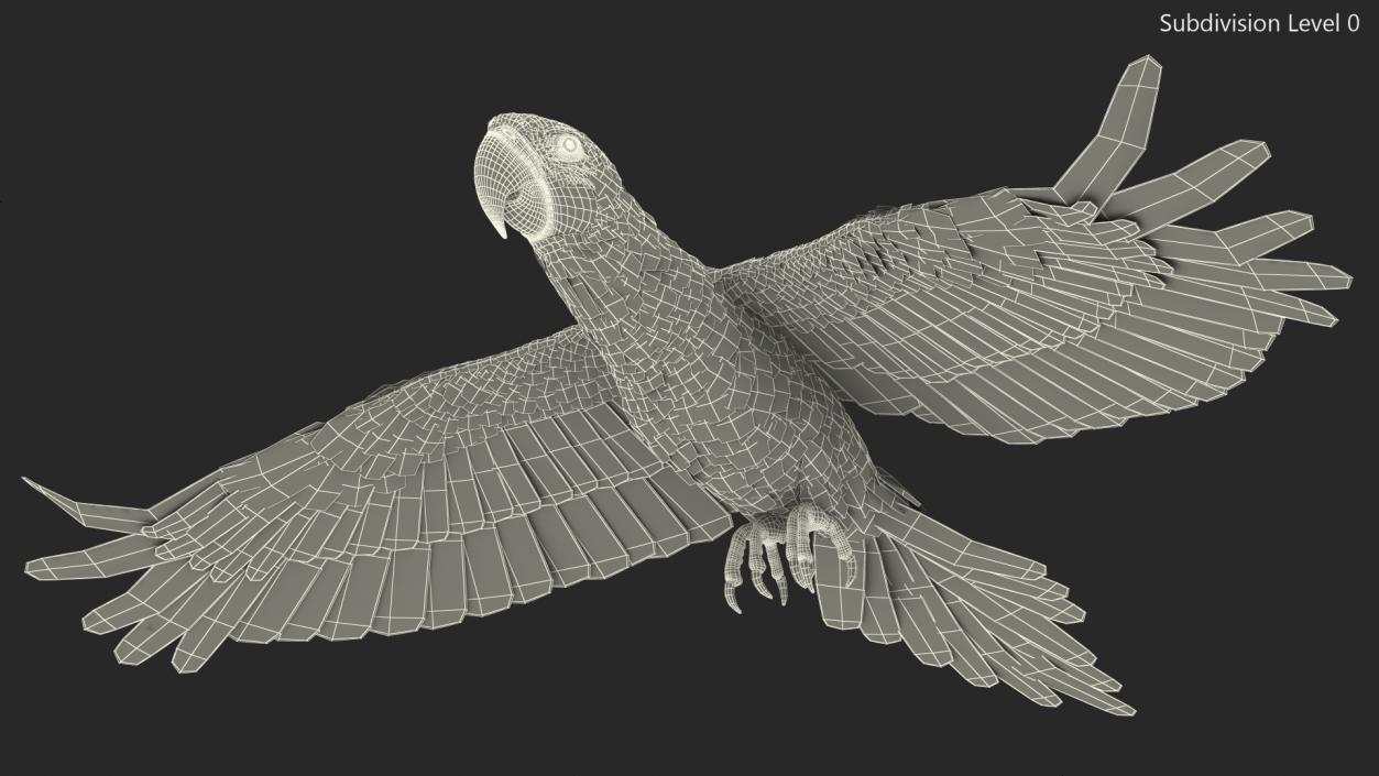 3D Red and Green Macaw Parrot Flight Pose model