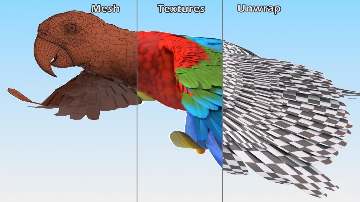 3D Red and Green Macaw Parrot Flight Pose model