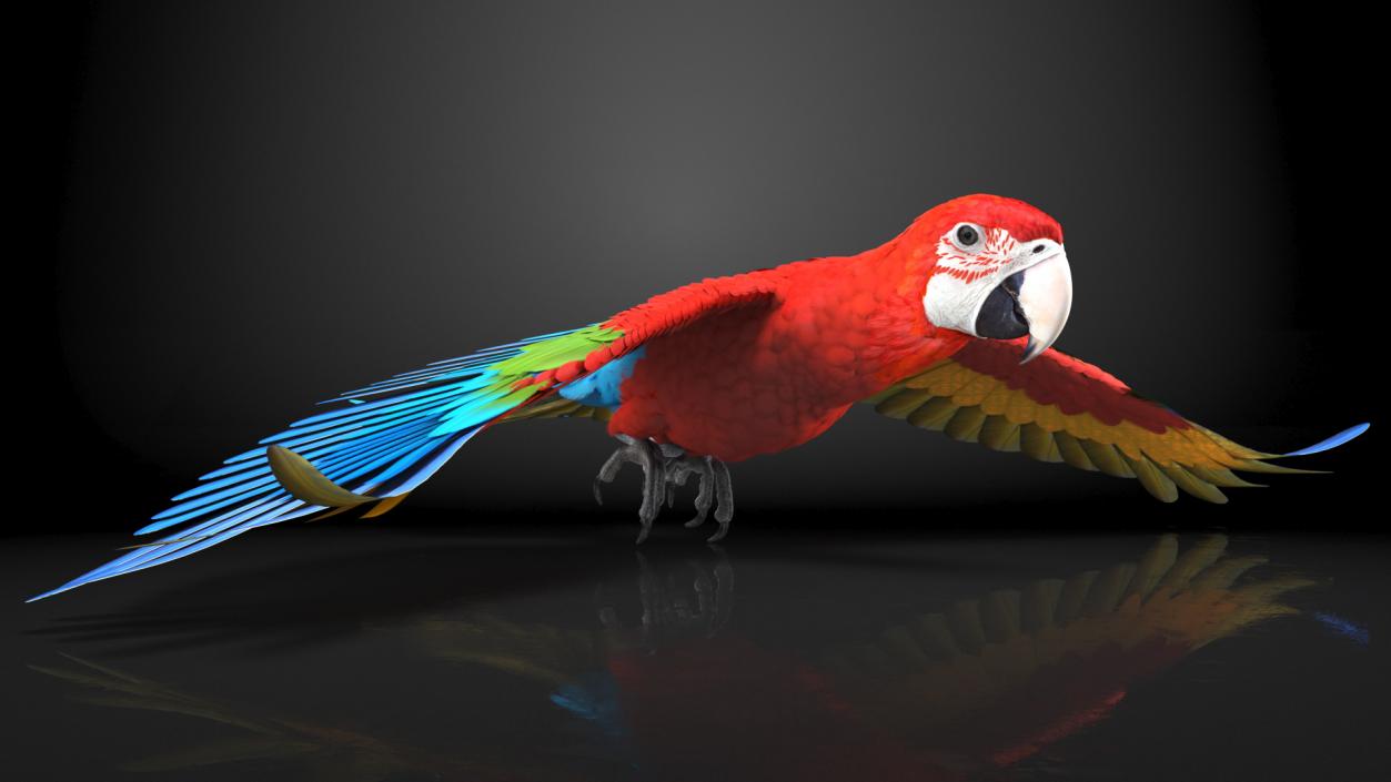 3D Red and Green Macaw Parrot Flight Pose model