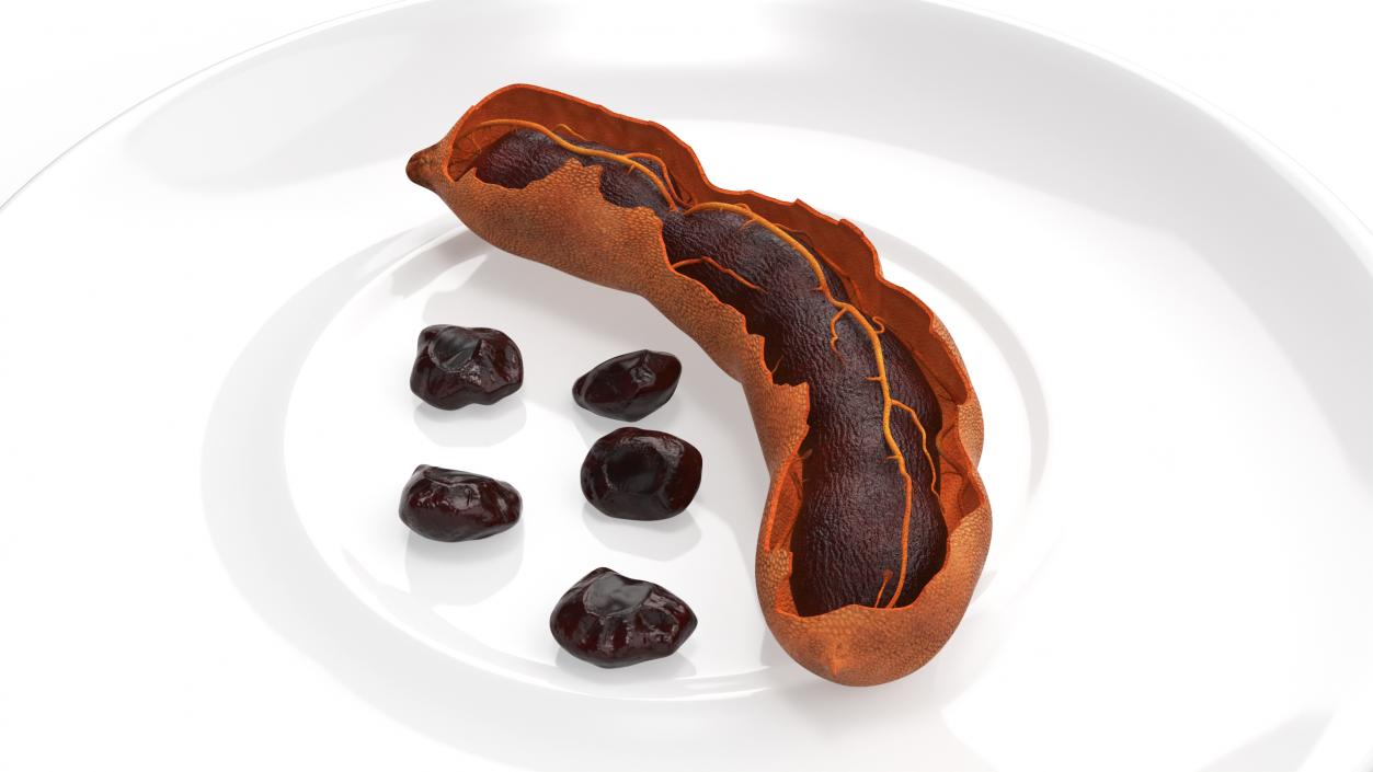 3D Opened Pod of Tamarind Fruit on White Plate model