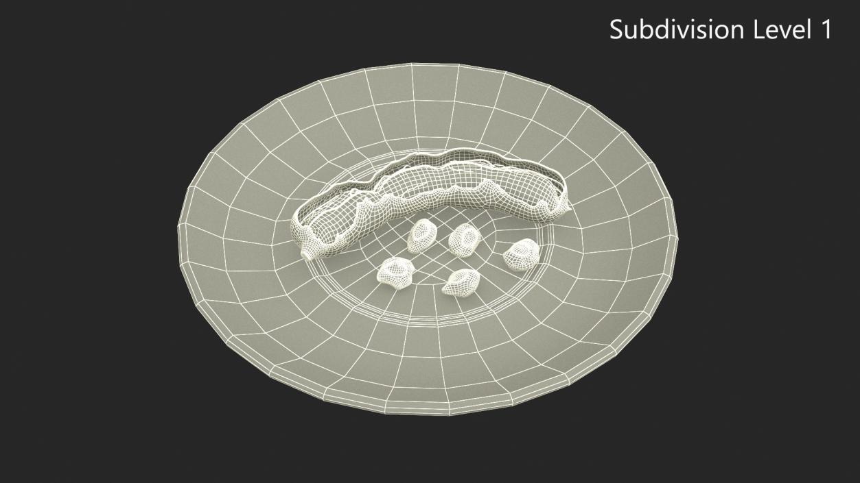 3D Opened Pod of Tamarind Fruit on White Plate model