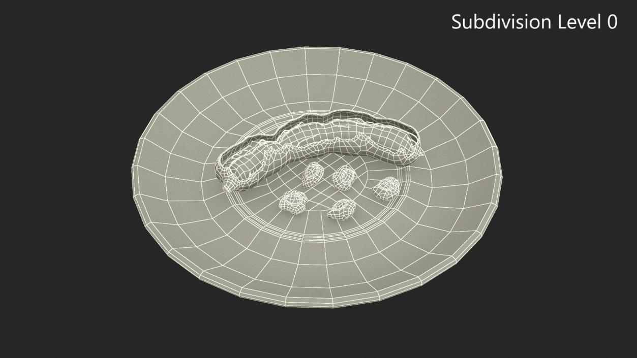 3D Opened Pod of Tamarind Fruit on White Plate model