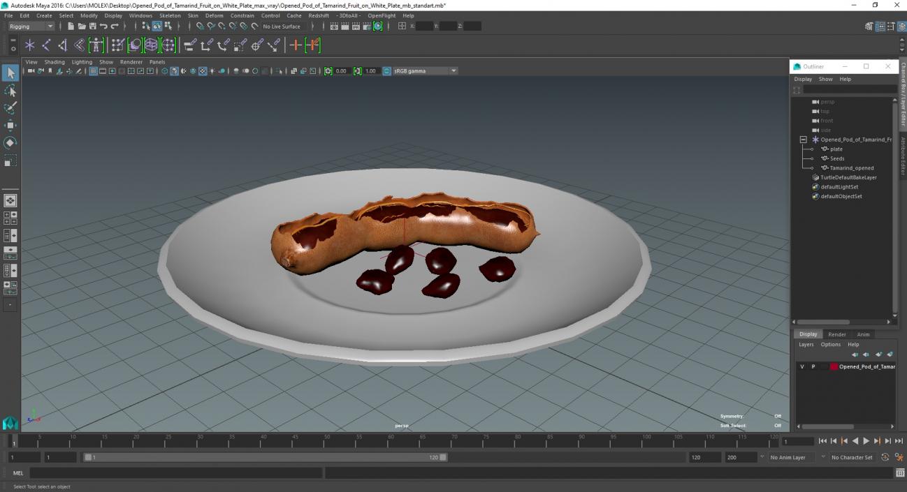 3D Opened Pod of Tamarind Fruit on White Plate model