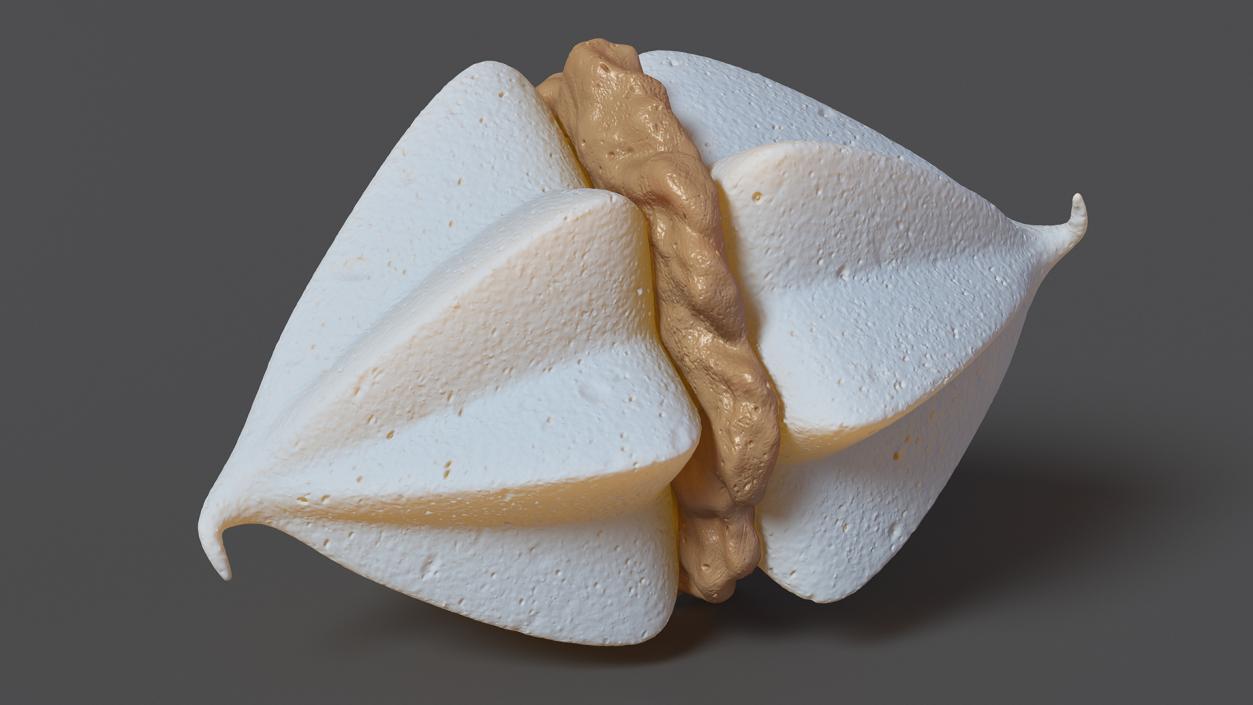 3D Double Meringue with Caramel Filling