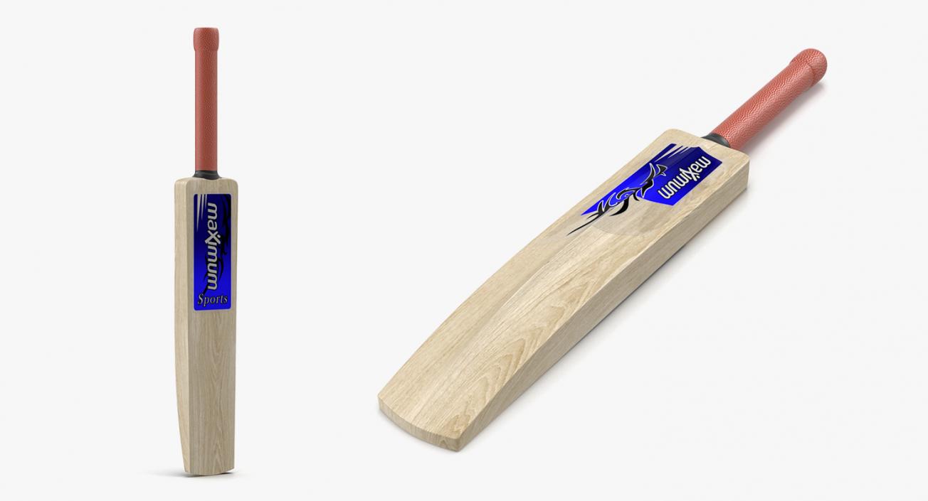 3D model Cricket Collection 4