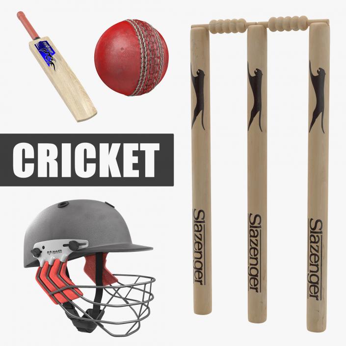 3D model Cricket Collection 4