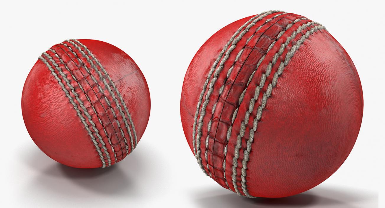 3D model Cricket Collection 4