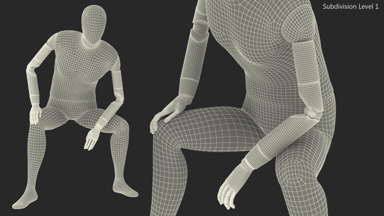 Flexible Manikin Sitting Pose 3D model