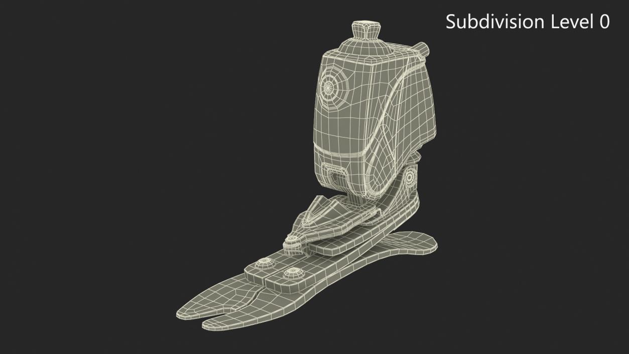 3D Bionic Foot