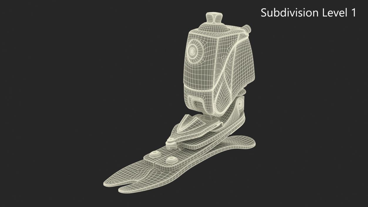 3D Bionic Foot