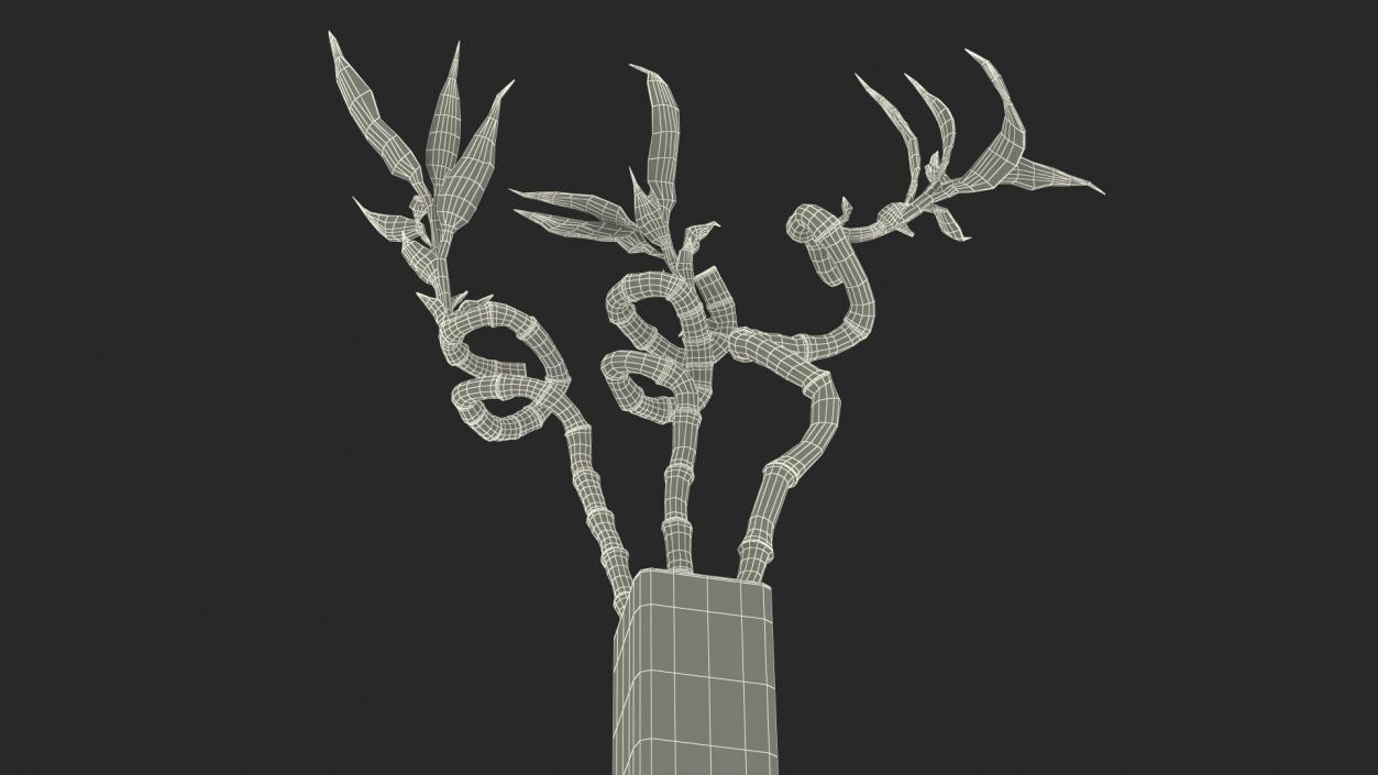 3D model Lucky Bamboo Bouquet