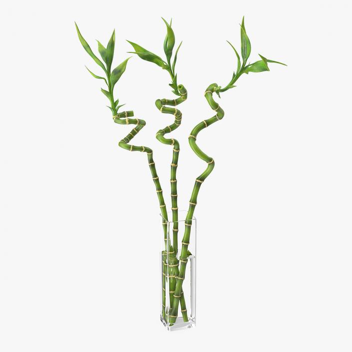 3D model Lucky Bamboo Bouquet