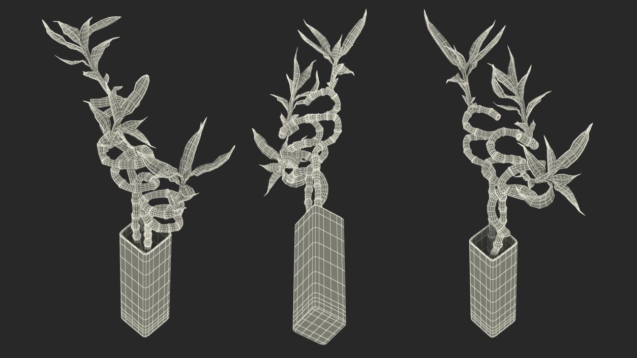 3D model Lucky Bamboo Bouquet