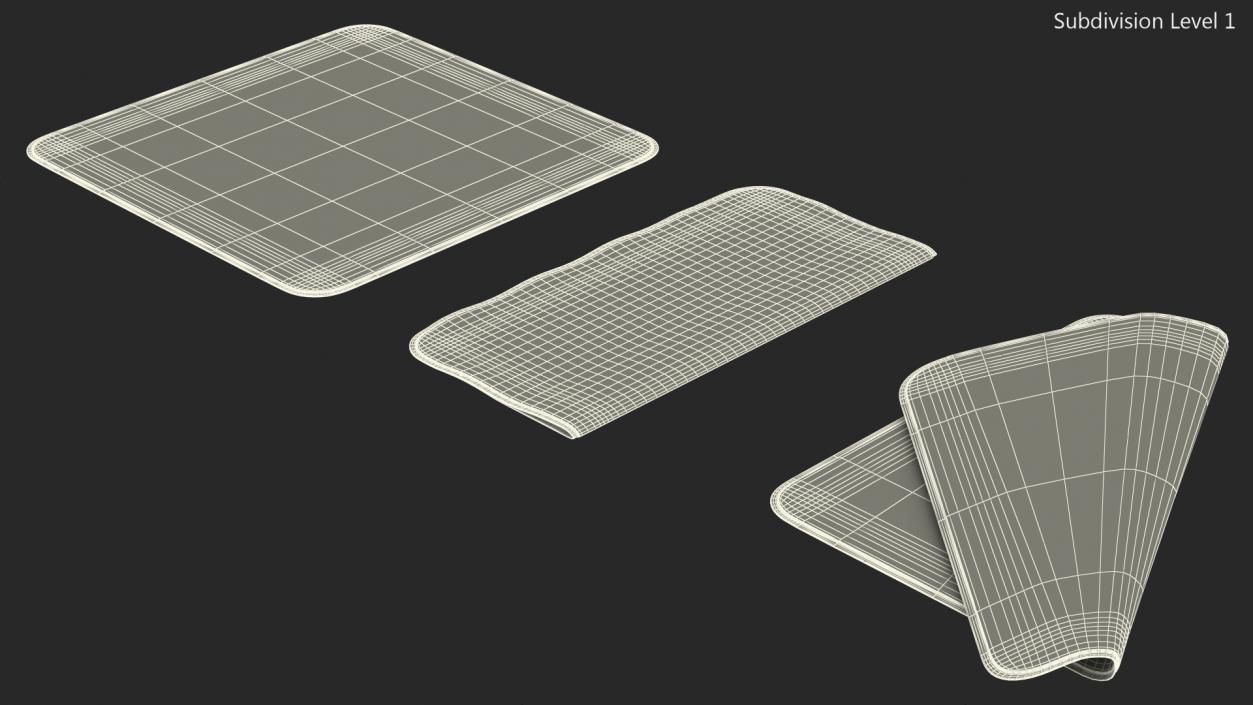 3D model Apple Polishing Cloth Set