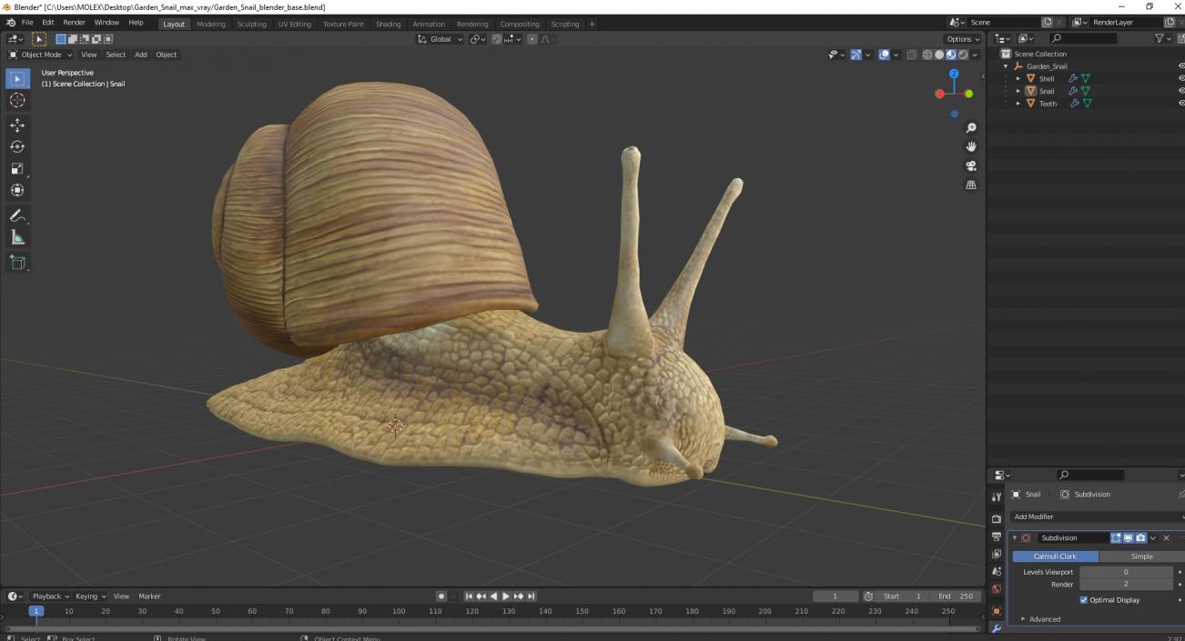 Garden Snail 3D