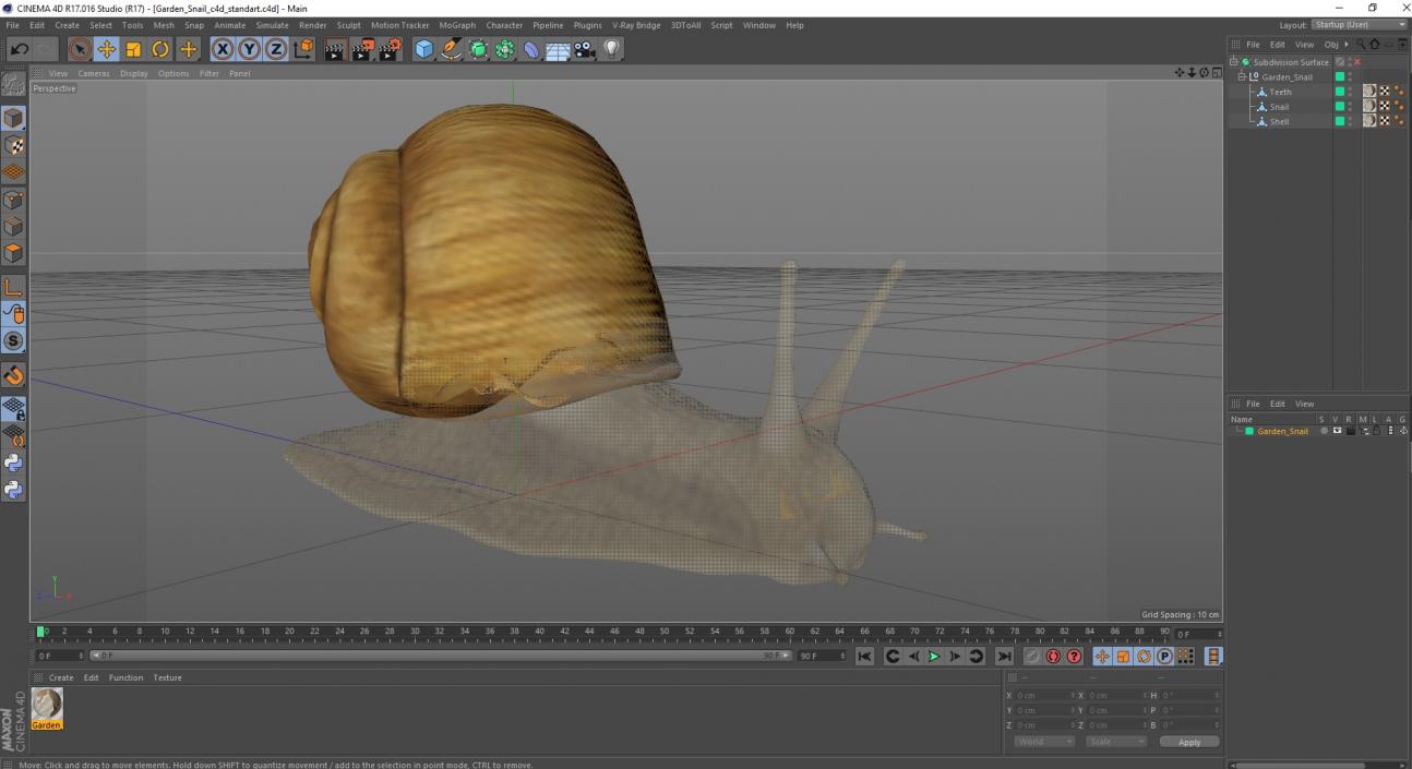 Garden Snail 3D