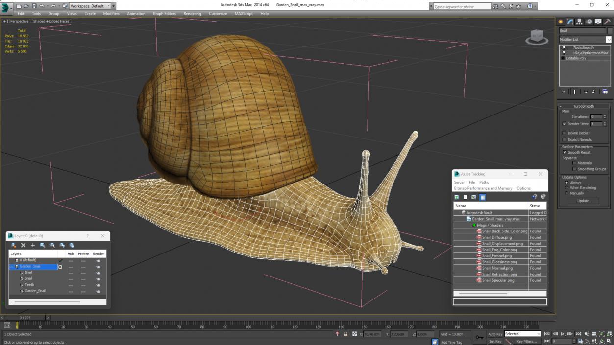 Garden Snail 3D