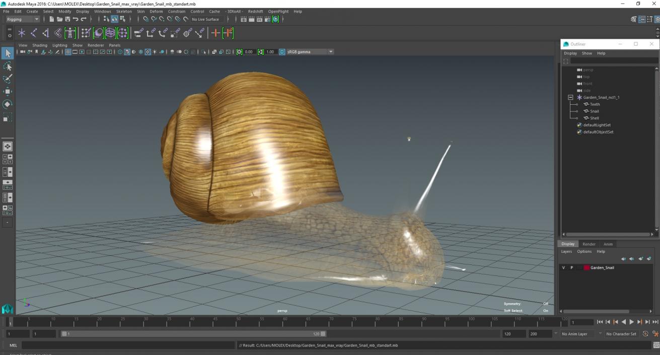 Garden Snail 3D