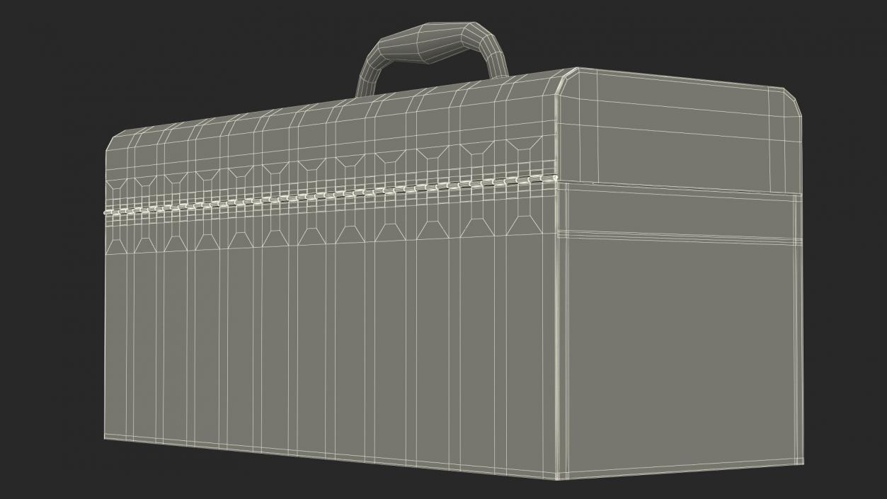 3D Sturdy Toolbox Metallic model