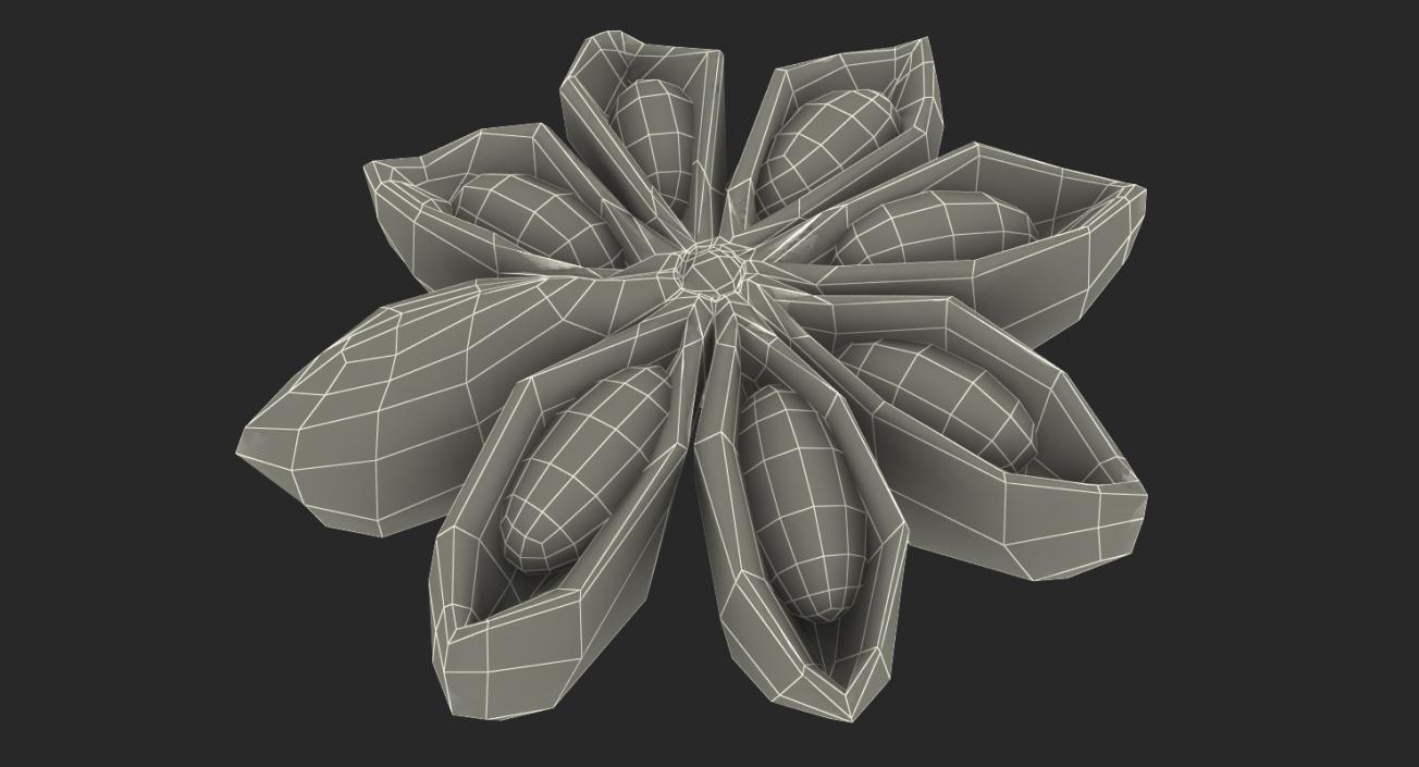 3D model Star Anise