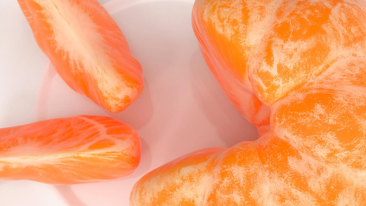 3D model Peeled Mandarin Split into Segments on White Plate