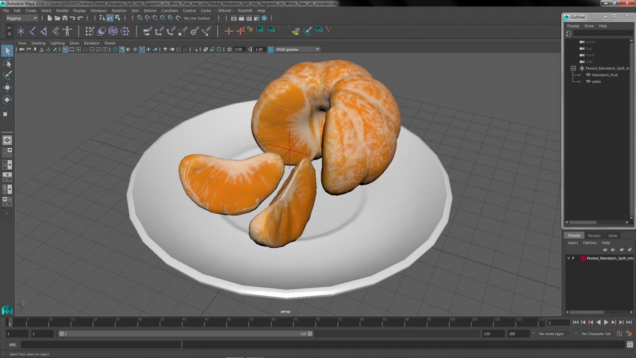 3D model Peeled Mandarin Split into Segments on White Plate