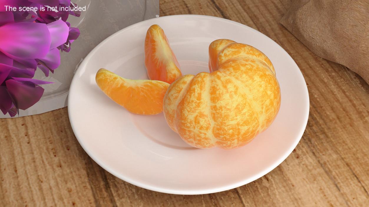 3D model Peeled Mandarin Split into Segments on White Plate