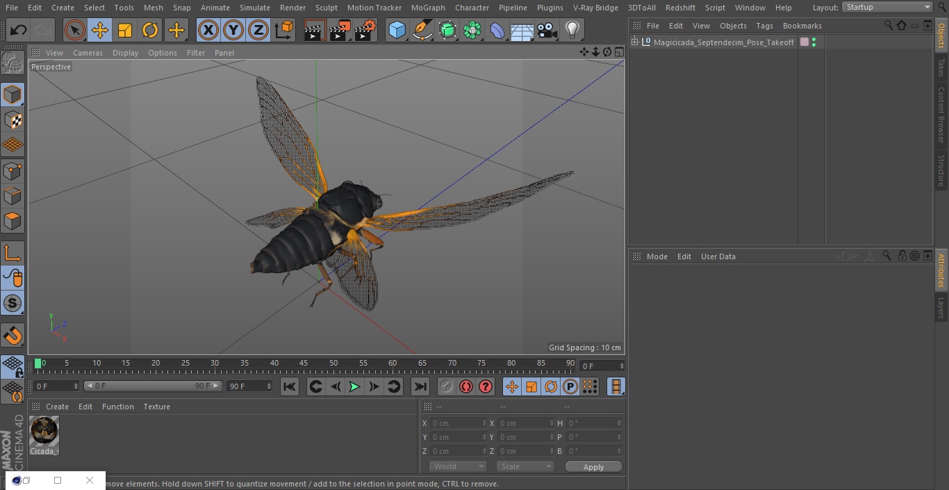 3D model Magicicada Septendecim Pose Takeoff