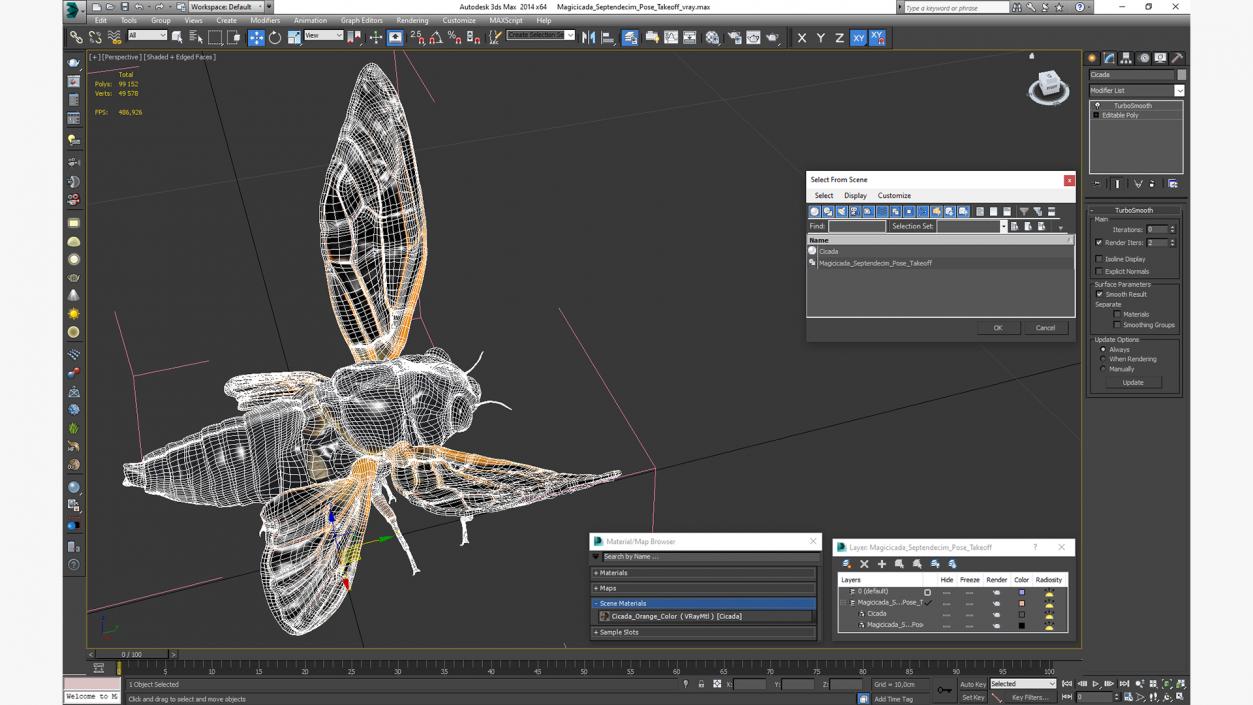 3D model Magicicada Septendecim Pose Takeoff