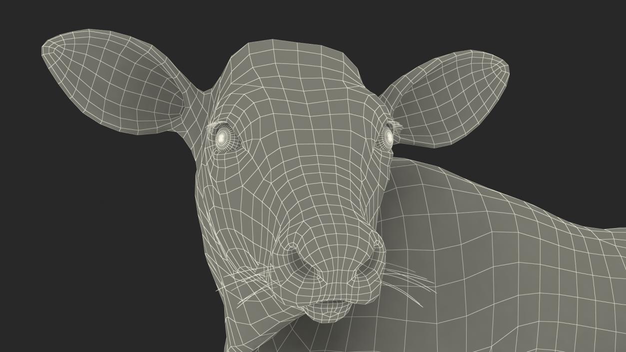 Cow Calf in Lying Pose 3D