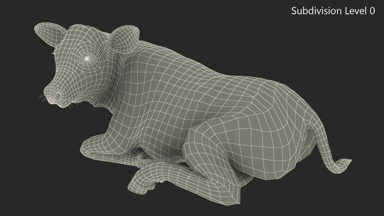 Cow Calf in Lying Pose 3D