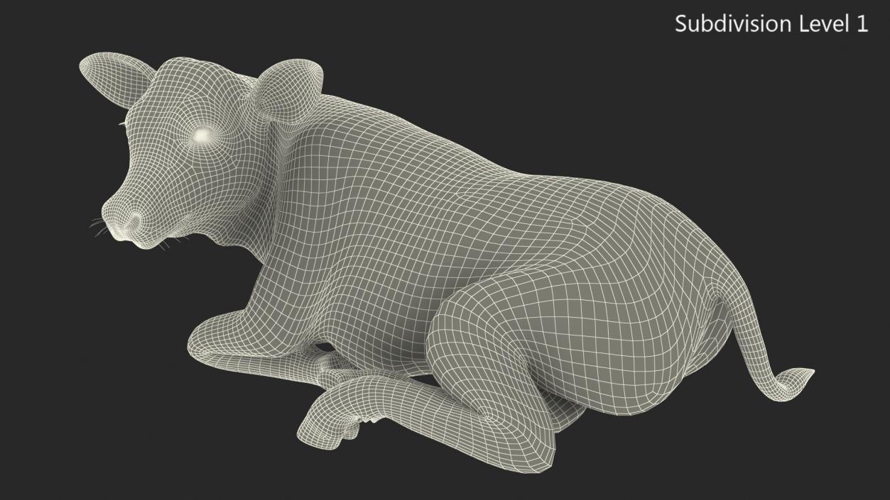 Cow Calf in Lying Pose 3D