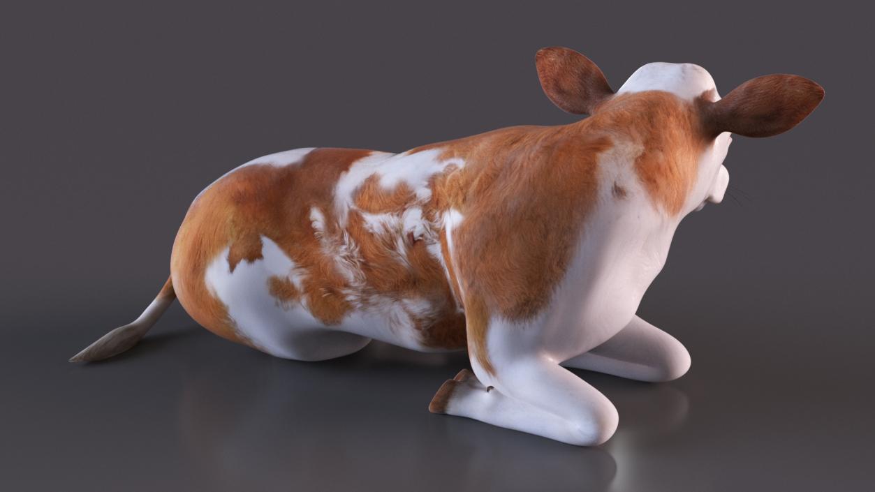 Cow Calf in Lying Pose 3D