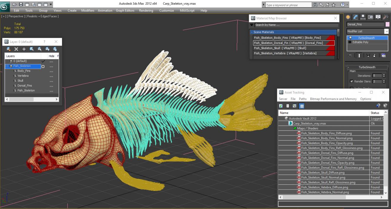 3D Carp Skeleton model